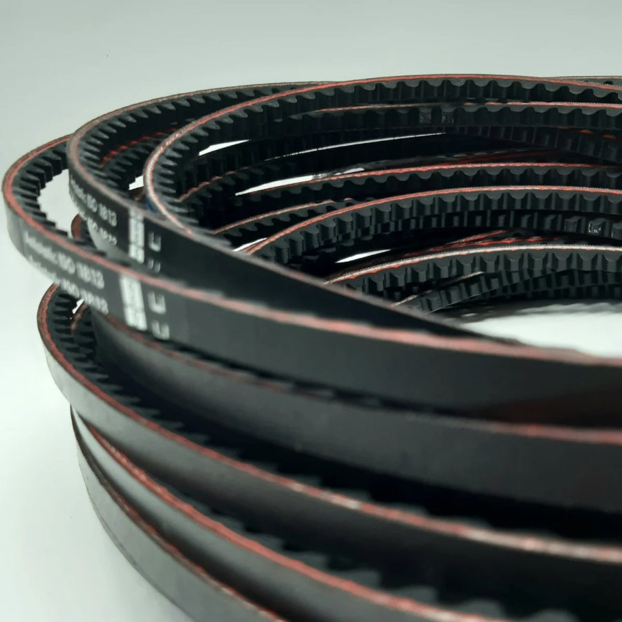 V-Belt set, Arcus M