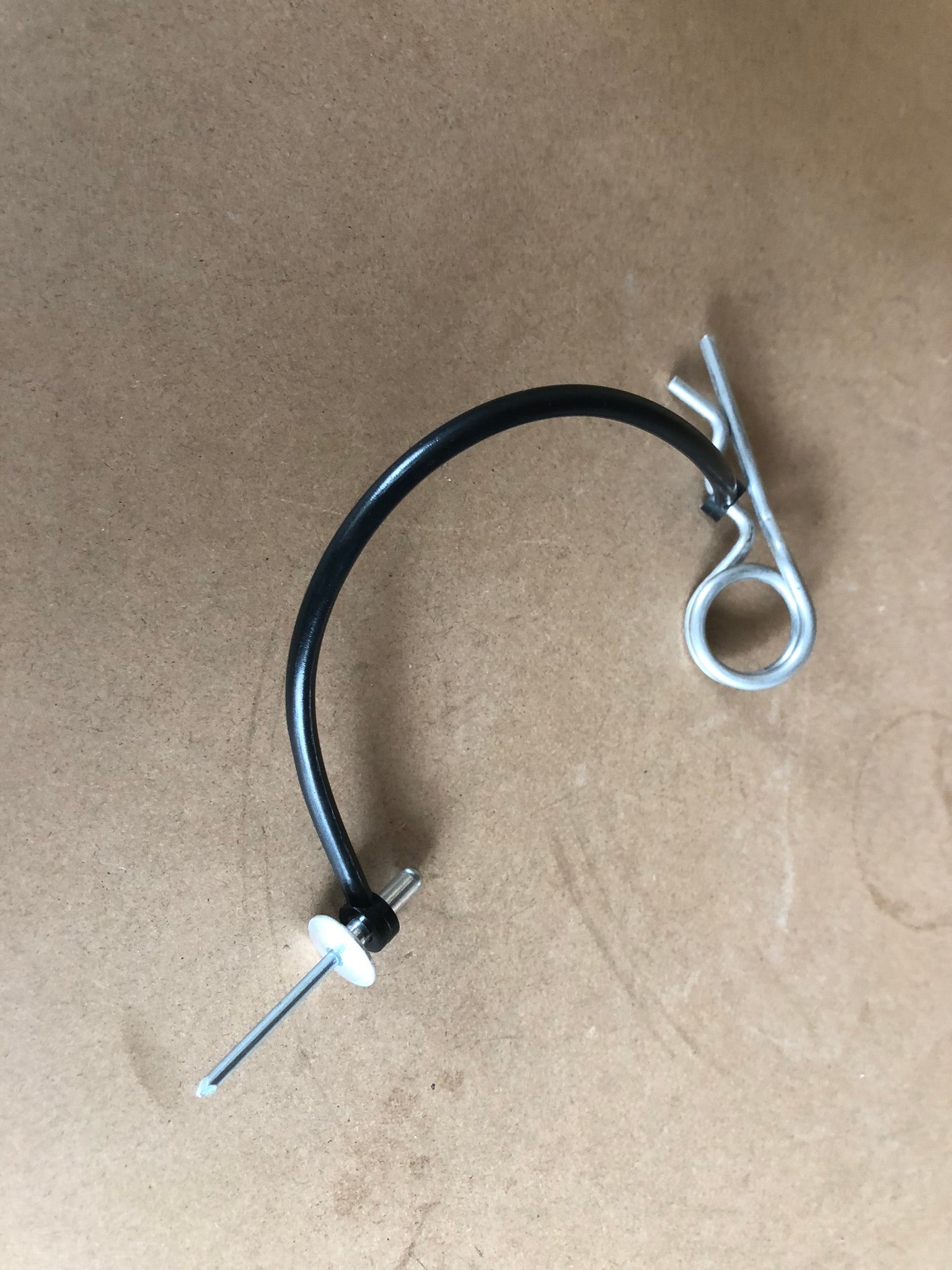 Secure lanyard and Pin